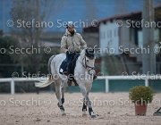 Berlin Tosc Tour2013- S5 1839 : Arezzo, Berlin, Cavalli d'Italia, Toscana Tour 2013, foto di Stefano Secchi ©